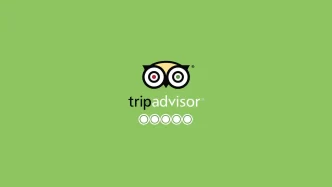 Logo di TripAdvisor con stelle vuote su sfondo verde.