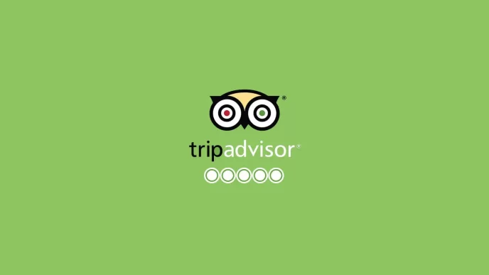 Logo di TripAdvisor con stelle vuote su sfondo verde.