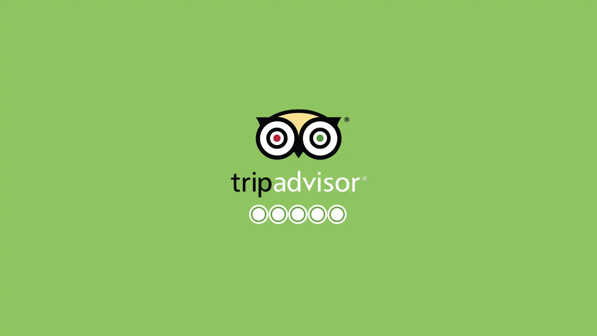 Logo di TripAdvisor con stelle vuote su sfondo verde.