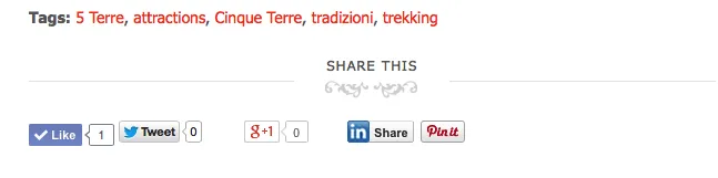 Sezione di condivisione sociale e tag su un articolo del blog.