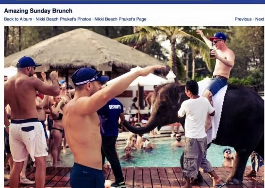 Foto di un brunch domenicale a Nikki Beach Phuket con un elefante usato come intrattenimento per gli ospiti.