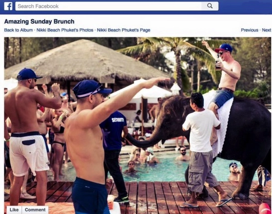 Foto di un brunch domenicale a Nikki Beach Phuket con un elefante usato come intrattenimento per gli ospiti.